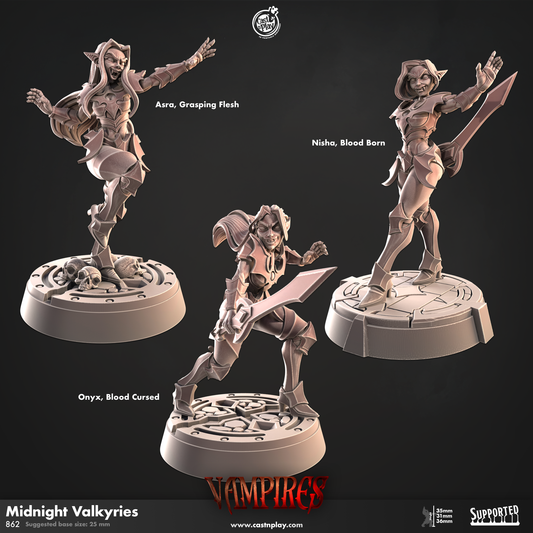 Cast 'n' Play 862: Midnight Valkyries-3D Print-Ashdown Gaming