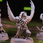 Cast 'n' Play 966: Birdfolk Champions