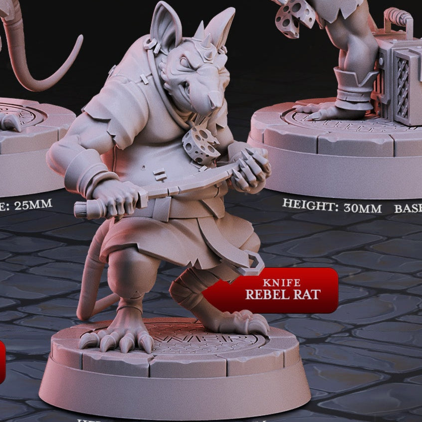 Cast 'n' Play 978: Rat Brawlers