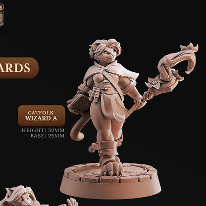 Cast 'n' Play 990: Catfolk Wizards