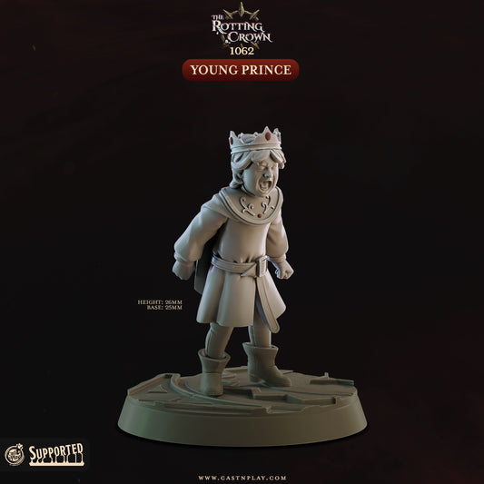 Cast 'n' Play 1062: The Young Prince