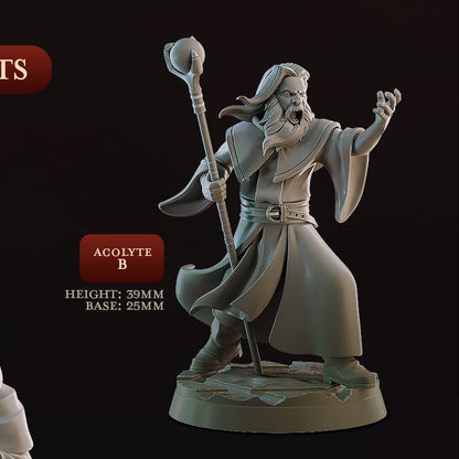 Cast 'n' Play 1067: Royal Priest