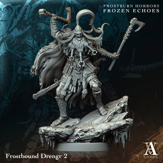 Archvillain Games - Frostbourn Horrors Frozen Echoes: Frostbound Drengr 2