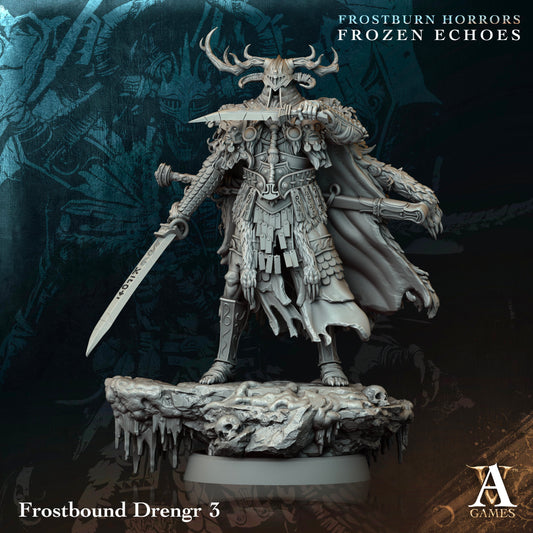 Archvillain Games - Frostbourn Horrors Frozen Echoes: Frostbound Drengr 3