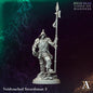 Archvillain Games - High Seas Tides of Madness: Voidtouched Swordsman