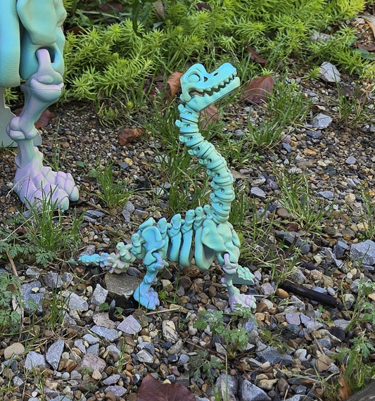 Flexi Factory Skeleton Brachiosaurus