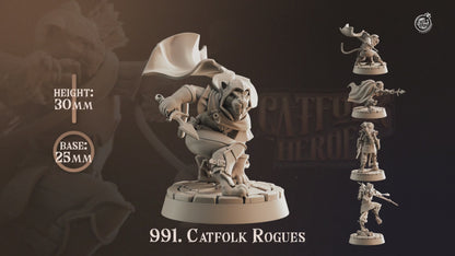 Cast 'n' Play 991: Catfolk Rogues