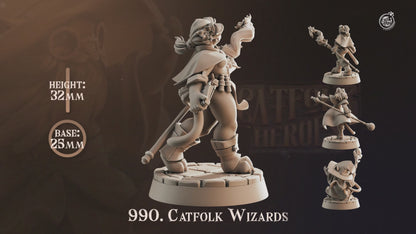 Cast 'n' Play 990: Catfolk Wizards
